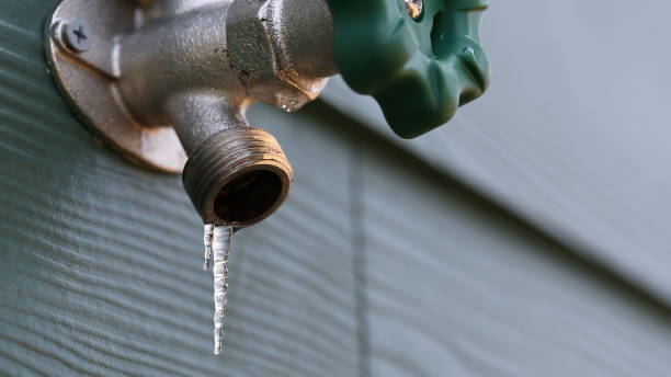 Best Local Plumber Services  in Hendersonville, TN